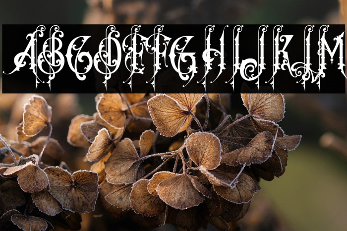 Bastille Vredeburg Demo Example 1