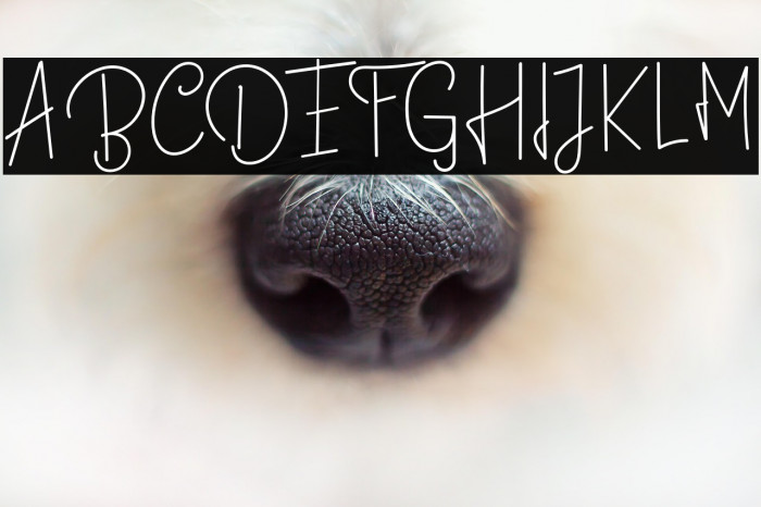 BastiollaRegular Example 1