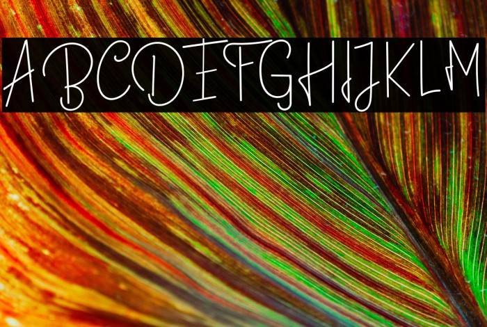 BastiollaRegular Example 3