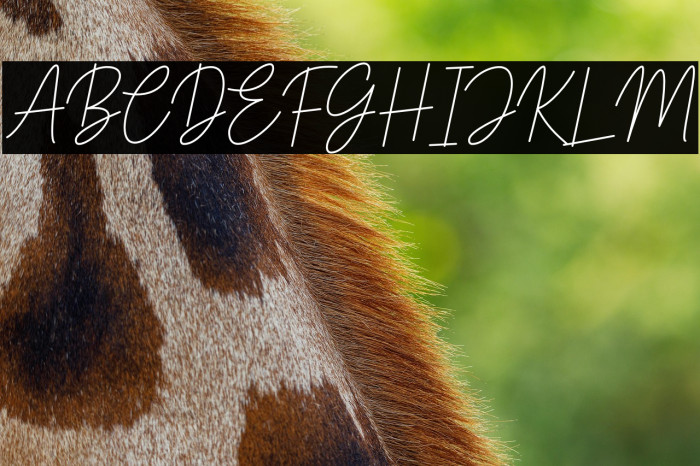 Bastony Signature Example 1