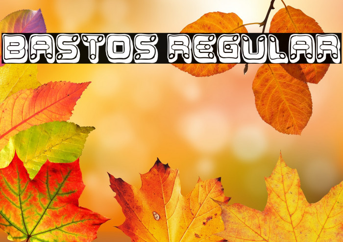 Bastos Regular Example 3