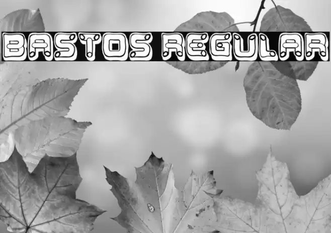 Bastos Regular Font examples
