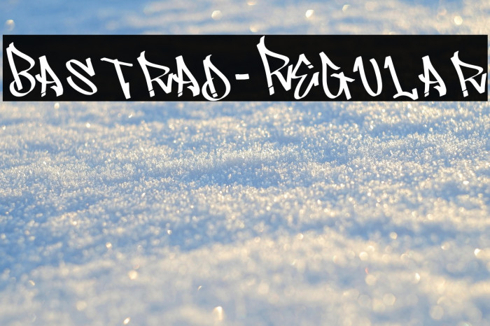 Bastrad-Regular Example 1