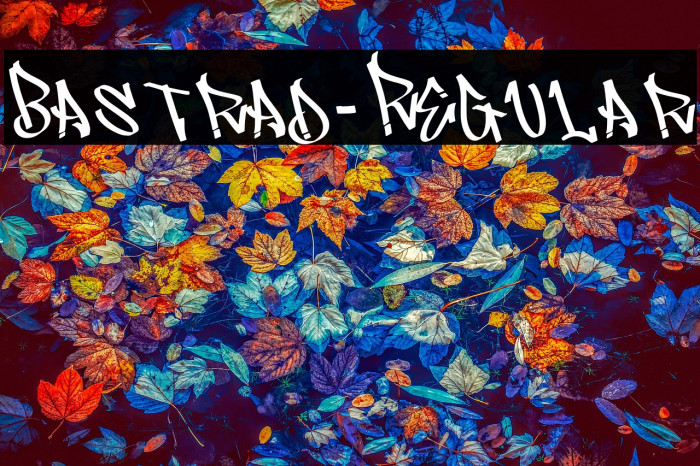 Bastrad-Regular Example 2