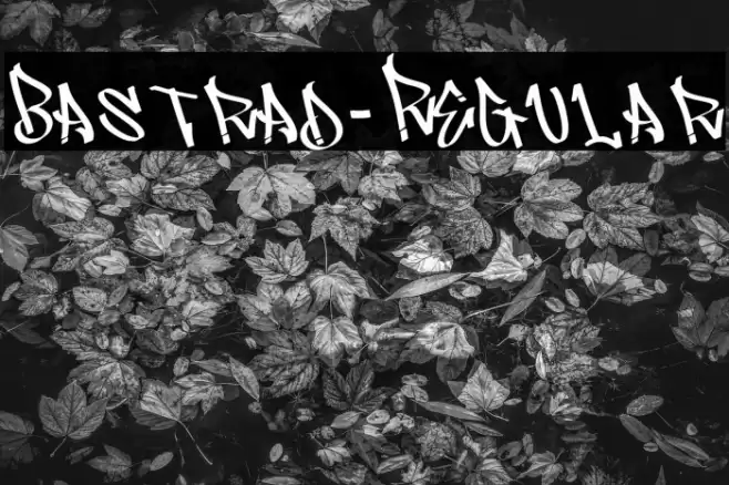 Bastrad-Regular Font examples