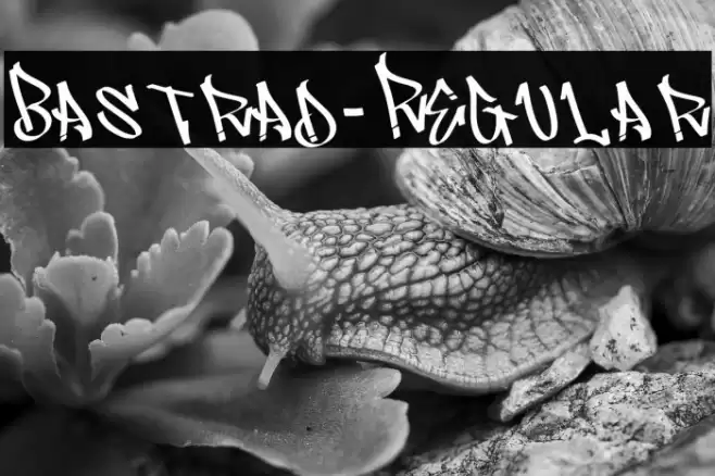 Bastrad-Regular Font examples