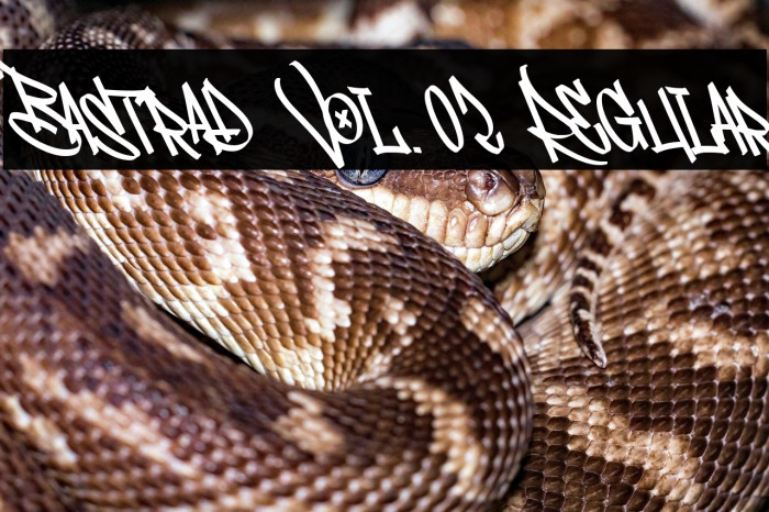 Bastrad Vol.02 Regular Example 1