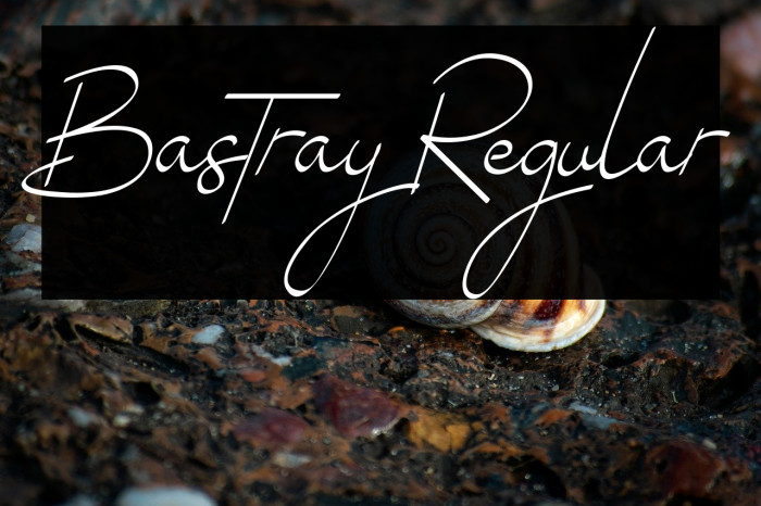 Bastray Regular Example 2