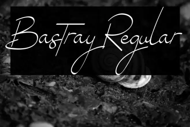 Bastray Regular Example 2