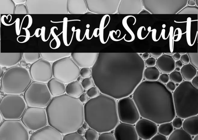 BastridScript Font examples