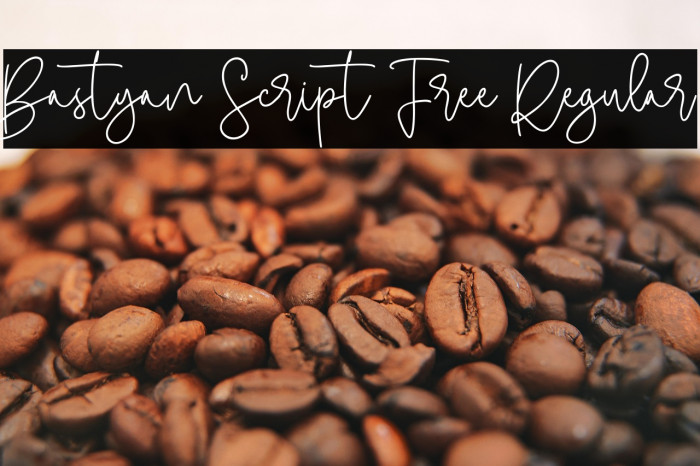 Bastyan Script Free Regular Example 1