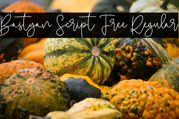 Bastyan Script Free Regular Example 3