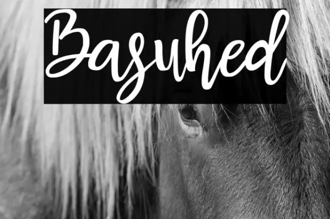 Basuhed Font examples