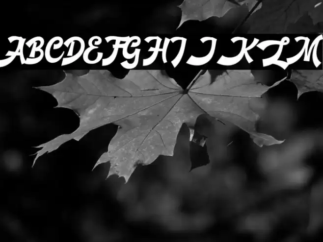 Basuki Script Demo Font examples