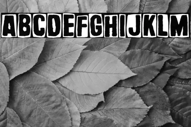 Basurero Humano Font examples