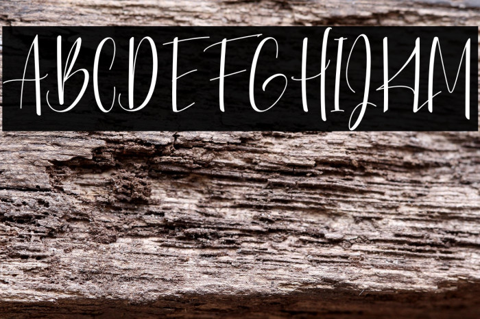 BasyarJalai Example 2