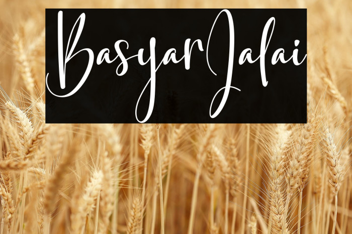 BasyarJalai Example 1