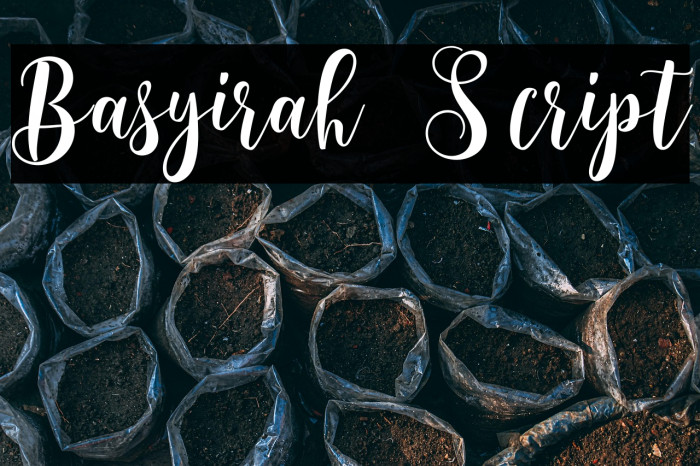 Basyirah Script Example 2