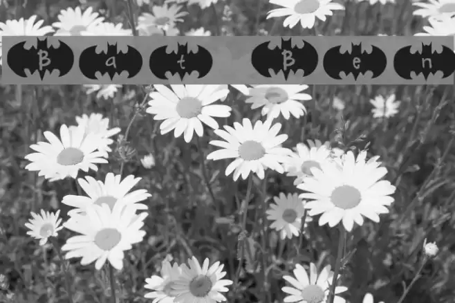 Bat Ben Font examples