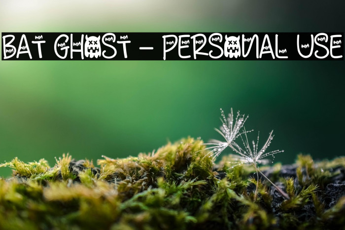 Bat Ghost - Personal Use Example 1