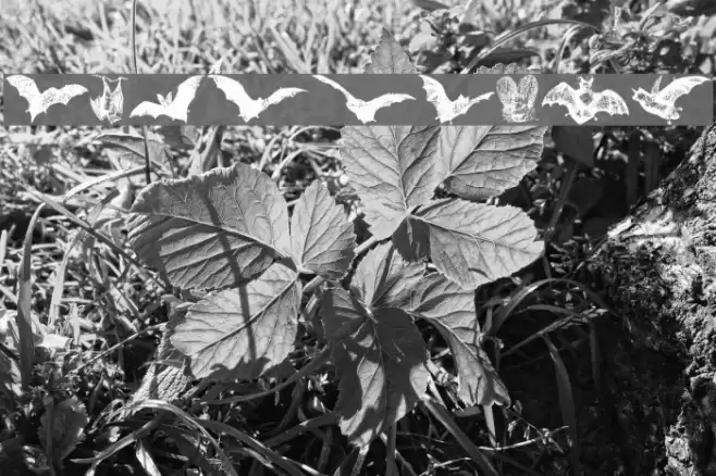 BatBats Font examples