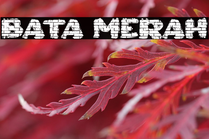 Bata Merah Example 1