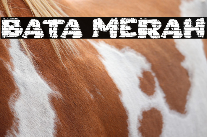 Bata Merah Example 3