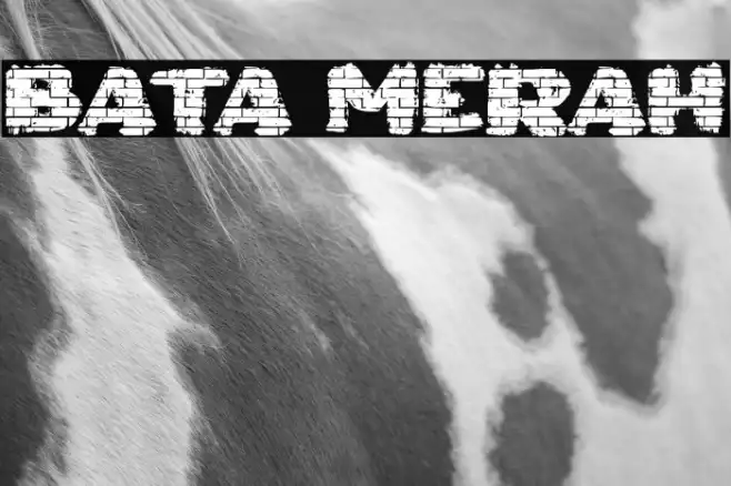 Bata Merah Example 3