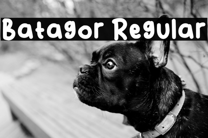 Batagor Regular Example 1