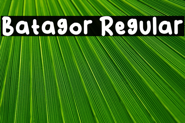 Batagor Regular Example 3