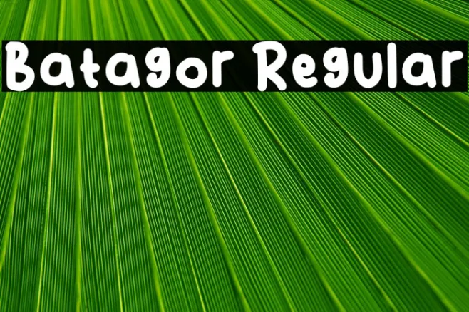 Batagor Regular Example 3