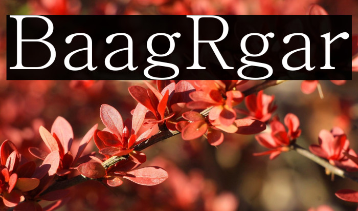 Batang Regular Example 1