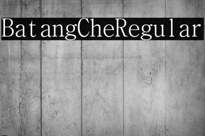 BatangChe Regular Example 1