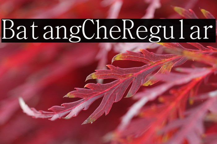 BatangChe Regular Example 3