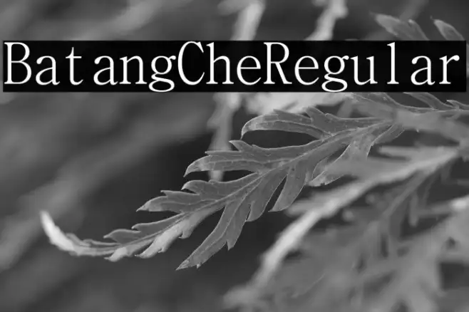 BatangChe Regular Example 3