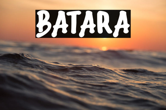 Batara Example 1