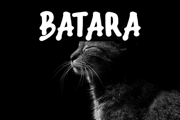 Batara Example 2