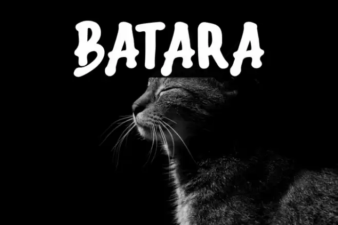 Batara Font examples