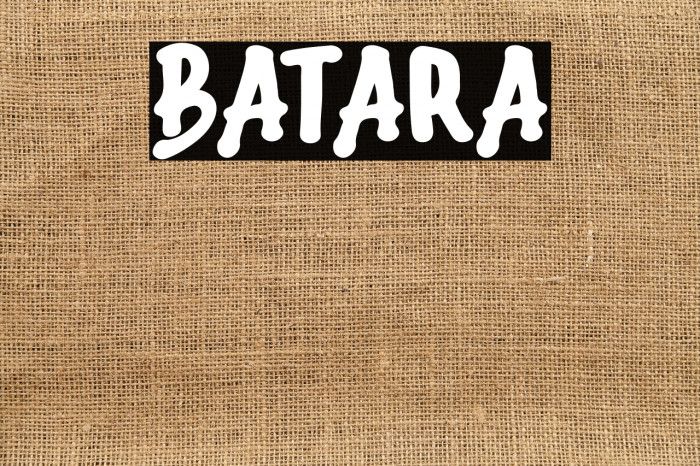 Batara Example 3