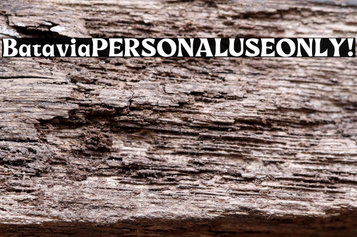 Batavia PERSONAL USE ONLY! Example 3