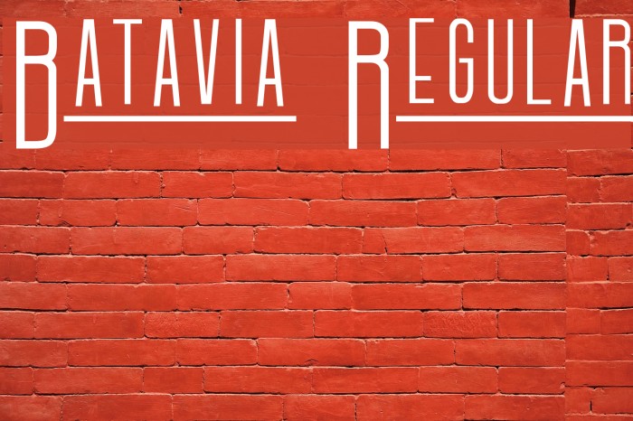 Batavia Regular Polices examples