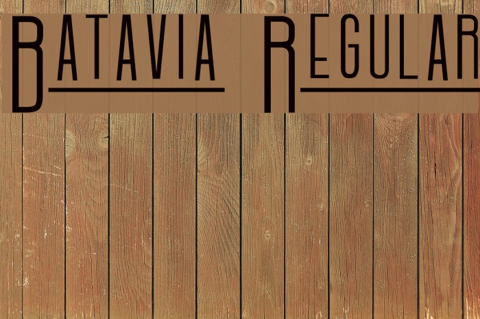 Batavia Regular Polices examples