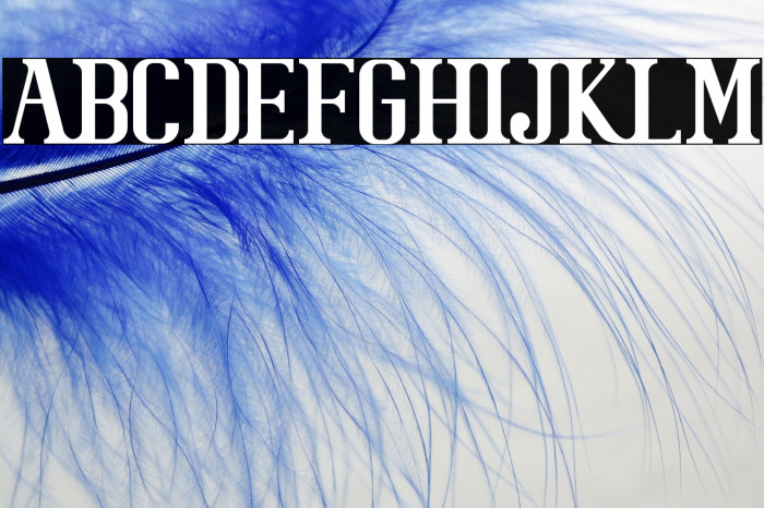 BataviaGlamoreBOLD-Bold Example 3