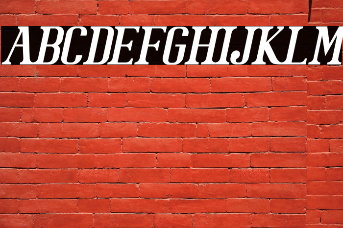 BataviaGlamoreBOLDITALIC-BoldIt Example 3