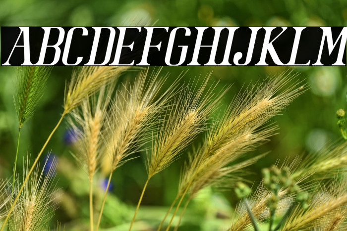 BataviaGlamoreNORMALITALIC-Ital Example 1