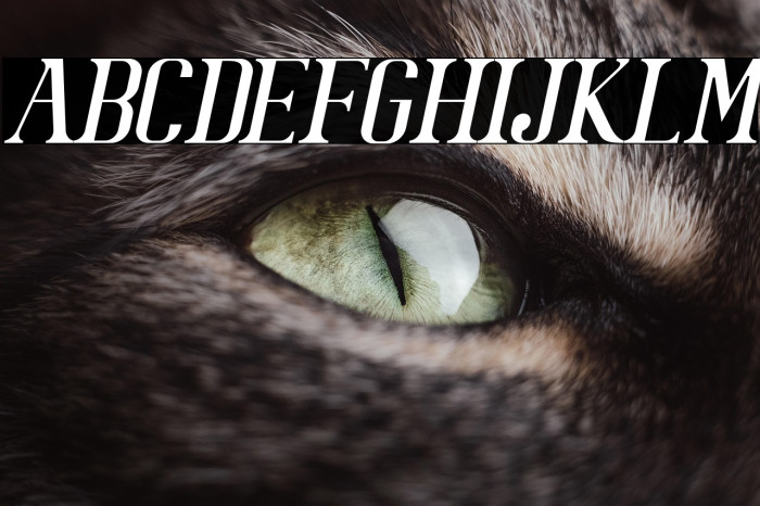 BataviaGlamoreNORMALITALIC-Ital Example 3