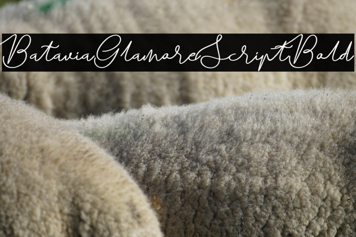 BataviaGlamoreScript-Bold Example 1