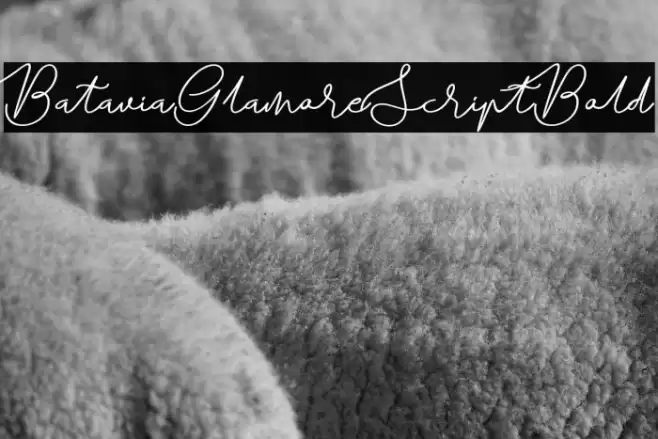 BataviaGlamoreScript-Bold Font examples