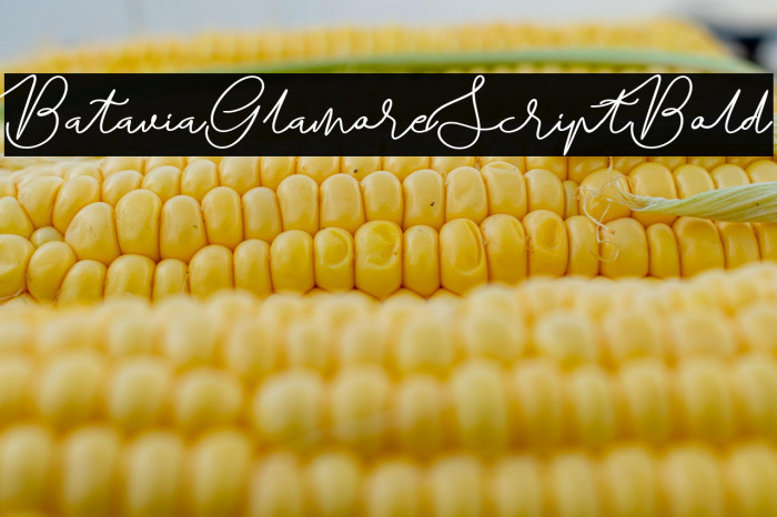 BataviaGlamoreScript-Bold Example 2