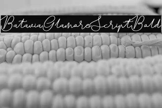 BataviaGlamoreScript-Bold Font examples